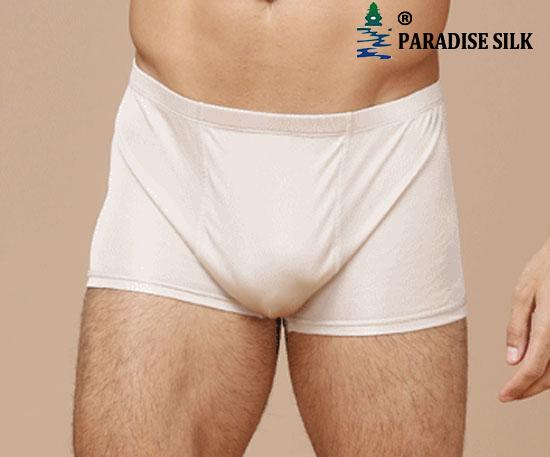 Pure Silk Knitted Men's Boxer Briefs Trunks  Underpants uomini boxer S M L - Picture 6 of 9