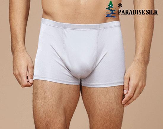 Pure Silk Knitted Men's Boxer Briefs Trunks  Underpants uomini boxer S M L - Picture 4 of 9